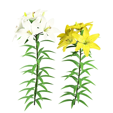 Outdoor Lily Garden Blossoms 3D model image 1 