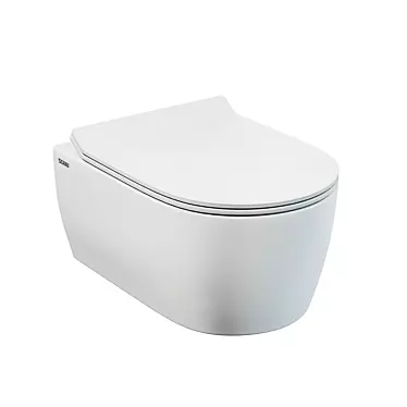 SSWW CT2063 RimFree Wall Hung Toilet 3D model image 1 