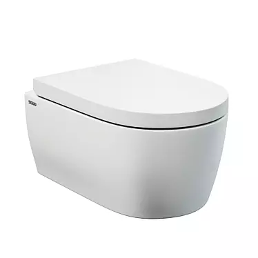 SSWW CT2038 RimFree Wall-Hung Toilet 3D model image 1 