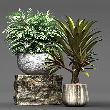 Botanical Paradise: Deluxe Plant Collection 3D model image 1 