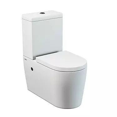 SSWW CT2046 floor toilet