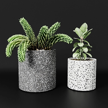 Planter pot Bransc pots