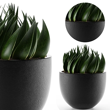 Exotic Palm Tree Pot: Office and Outdoor Decor 3D model image 1 
