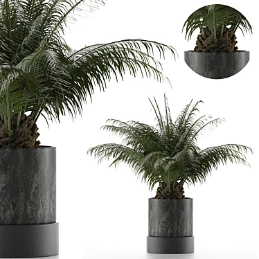 Tropical Palm Tree Decor 3D model image 1 