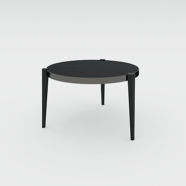 Soul Wood SJ-004 Coffee Table 3D model image 1 