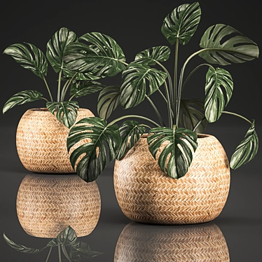 Tropical Monstera in Rattan Basket 3D model image 1 