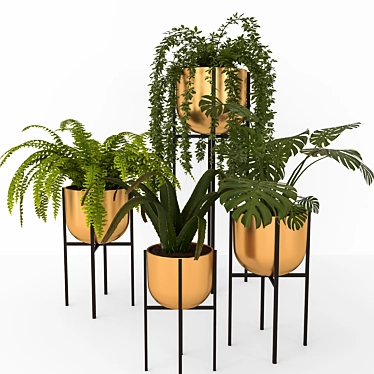  Corona Plant Set | 3DSMAX, FBX 3D model image 1 