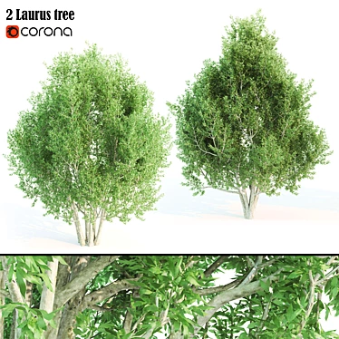 Towering Laurus: 12m & 12.6m Heights 3D model image 1 