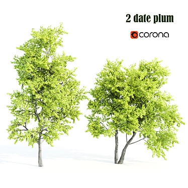 Towering Date Plum Trees 3D model image 1 