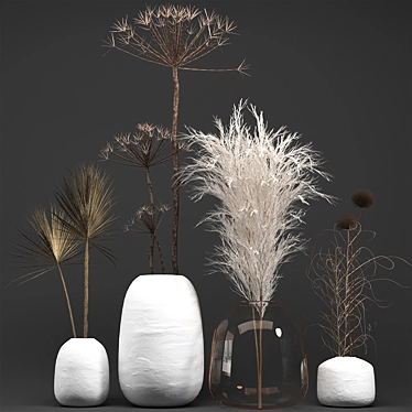 Exquisite Dry Plant Collection 3D model image 1 