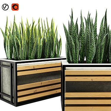 Concrete Textured Sansevieria Planter 3D model image 1 