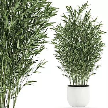 Exotic Bamboo Plant Collection 3D model image 1 