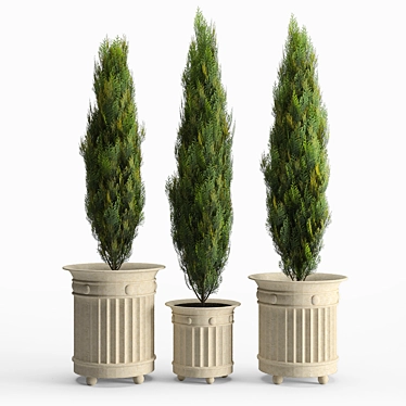 White Cedar Prescott Planter 3D model image 1 