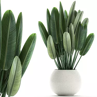 Exotic Plant Collection in White Vase 3D model image 1 