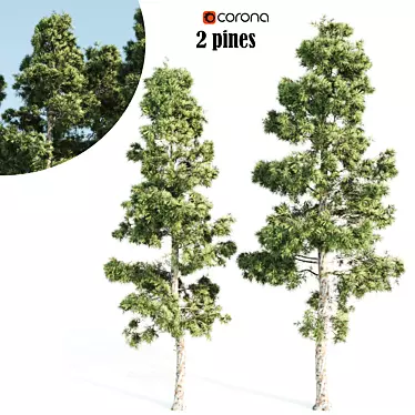 Tall Pine Twin Set 3D model image 1 