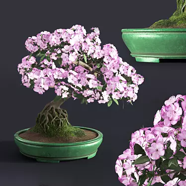 Japanese Azalea Bonsai: Tradition Transformed 3D model image 1 