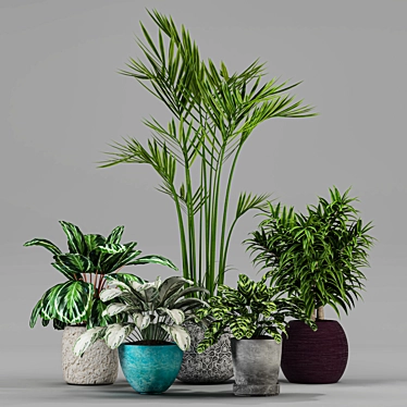 Variety of Plants Collection 3D model image 1 