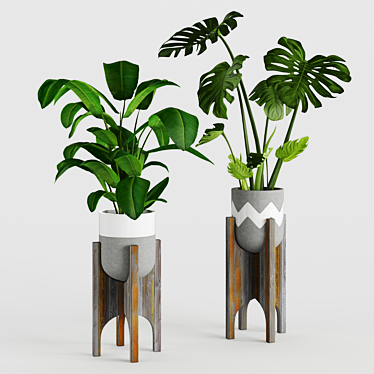  Exotic Jungle in Pots 3D model image 1 