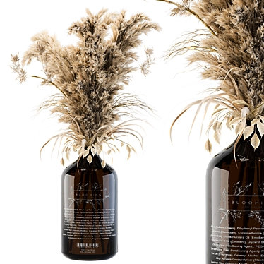 Pampas Haven - Dry Plants in Glass 3D model image 1 
