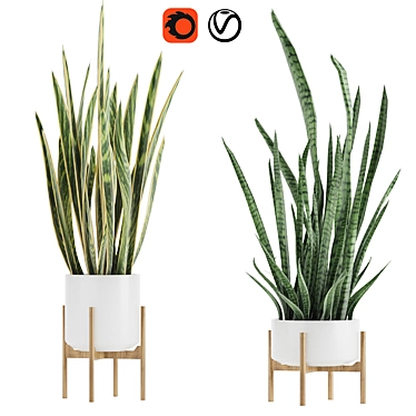 Sleek and Stylish Sansevieria 2 3D model image 1 