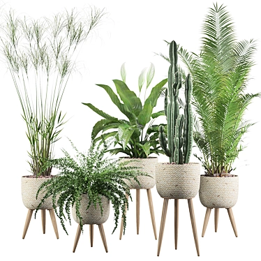 Green Oasis Collection: Peace Lily, Cyperus Nofretete, Fern Indoor, Areca Palm, Euphorbia Candelab 3D model image 1 