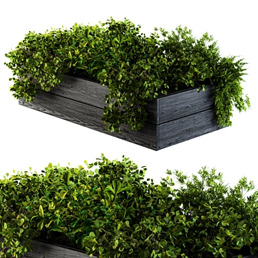 Outdoor 55: Compact Garden Plants 3D model image 1 