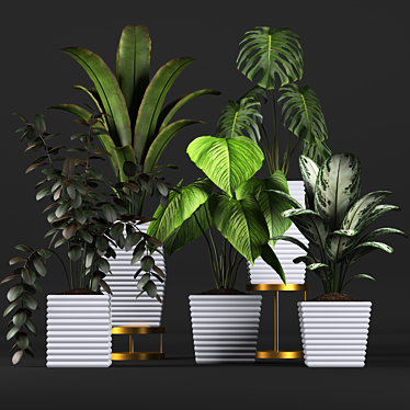 Tropical Plant Collection: Philodendron, Monstera, Ficus, Dieffenbachia & Banana 3D model image 1 