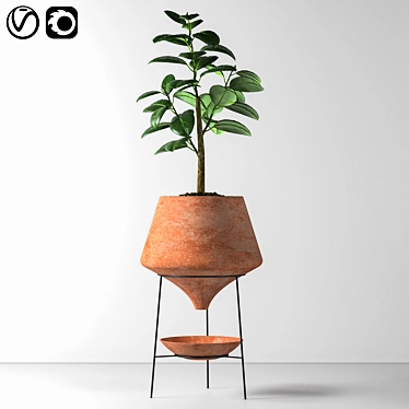 Elegant Indoor Decorative Plant 3D model image 1 