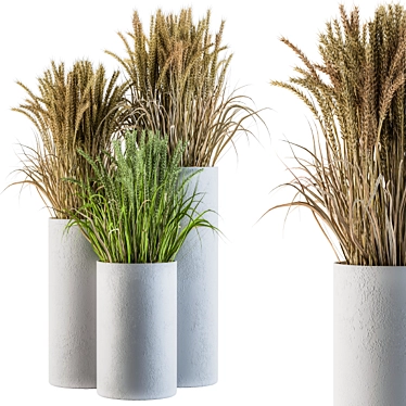 Concrete Round Pot with Wheat & Wild Grass 3D model image 1 