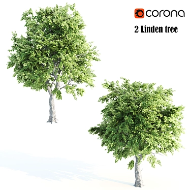 Duo Linden Trees: Tranquil Scene 3D model image 1 