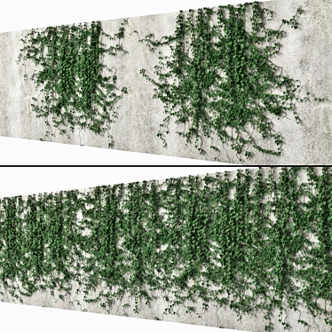 Ivy Reflections: Versatile Wall Decor 3D model image 1 