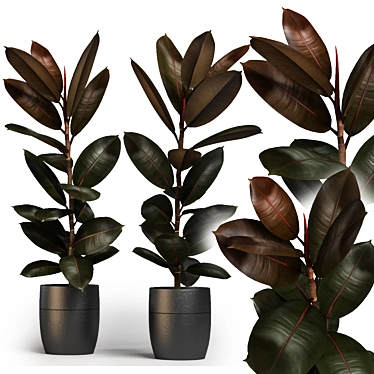 Lush Greenery: Indoor Plants 3D model image 1 
