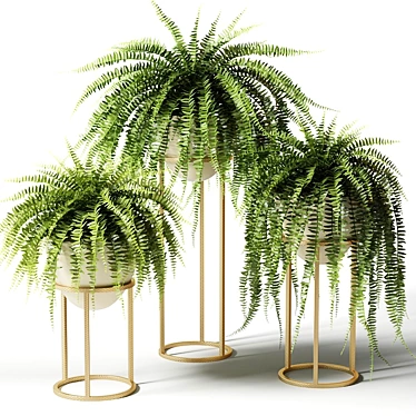 Nephrolepis Sublime: Indoor Greenery in Floor Planters 3D model image 1 