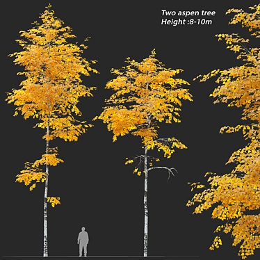 Autumn Aspen Trees: 8-10m Height 3D model image 1 