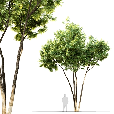  Majestic Ash Tree: 10m Height 3D model image 1 
