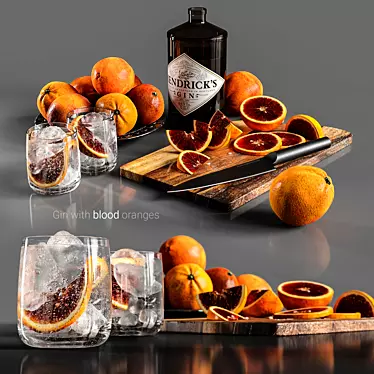 Citrus Twist: Gin Infused with Blood Oranges 3D model image 1 