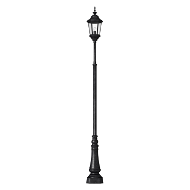 Elegant Wrought Iron Street Lamp 3D model image 1 