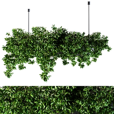 72-Piece Hanging Box Plant Set 3D model image 1 