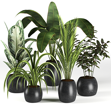 Botanical Bliss: 4 Plant Collection 3D model image 1 