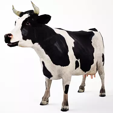 Realistic Cow Model - High Quality Textures 3D model image 1 