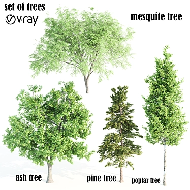 4 Variety Tree Set: Ash, Mesquite, Poplar, Pine 3D model image 1 