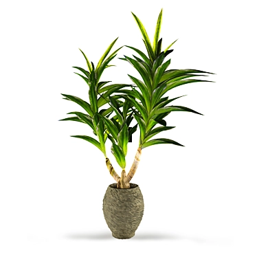 Tropical Dracaena: Healthy Houseplant 3D model image 1 