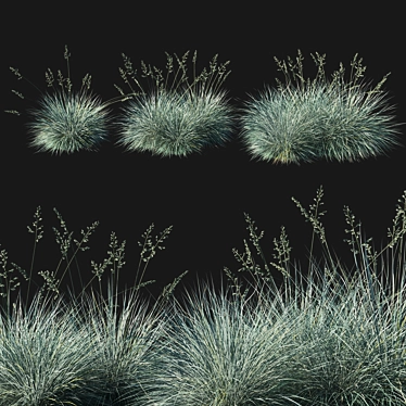 Blue Fescue Grass: Sleek & Versatile 3D model image 1 