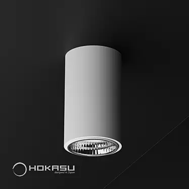 HOKASU Tube: Sleek Surface Mounted Lamp 3D model image 1 