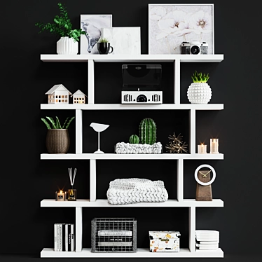 Contemporary Decorative Shelving 3D model image 1 