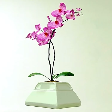 Elegant Orchid in Stylish Pot 3D model image 1 