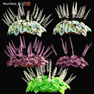 Coral Bells 3D Model Kit 3D model image 1 