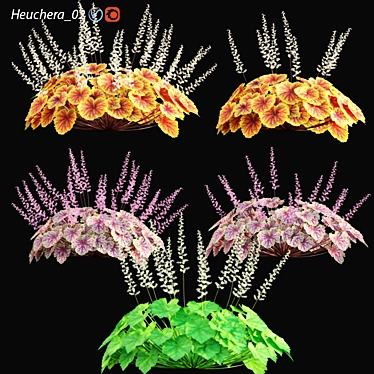 Heuchera - Coral Bells 02: 3D Models with Textures 3D model image 1 