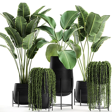 Exotic Plant Collection in Black Vase 3D model image 1 