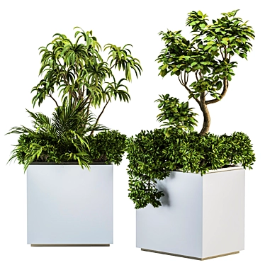 Minimalist White Box Plant Set 3D model image 1 